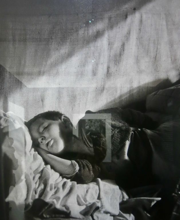 Vincent, fils de Willy Ronis, endormi en 1946